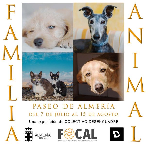 Exposición FOCAL Familia Animal. Colectivo Desencuadre